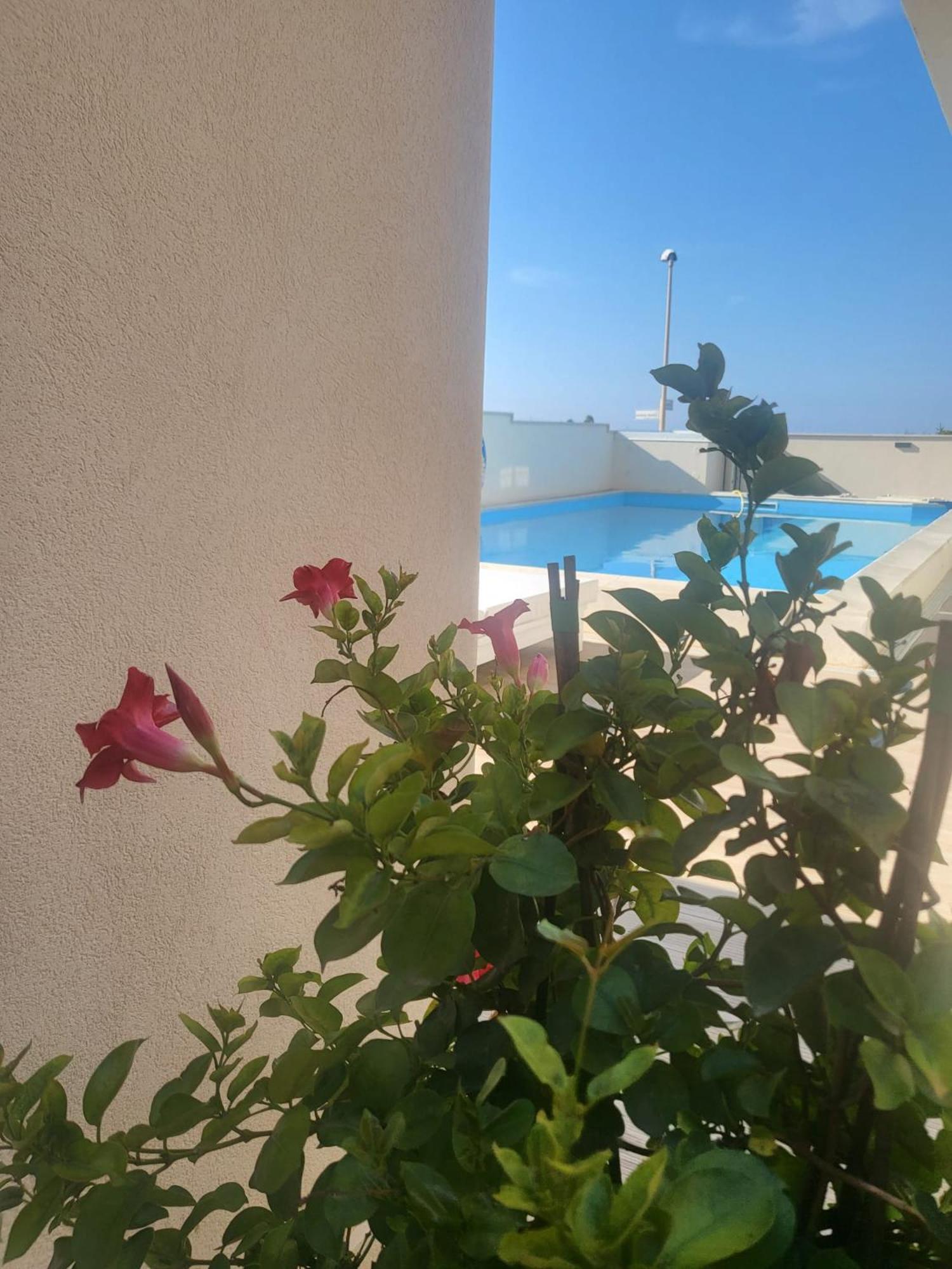 Casa P. Greco Hotel Portopalo Di Capo Passero Exterior photo